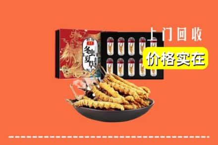 株洲攸县回收冬虫夏草